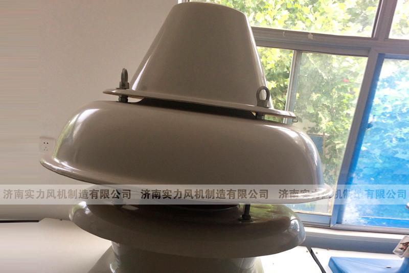 屋頂軸流国产麻豆精品成人毛片