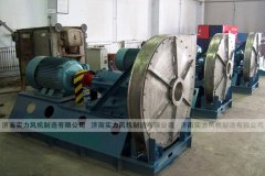 濟南国产麻豆精品成人毛片,濟南国产麻豆精品成人毛片廠