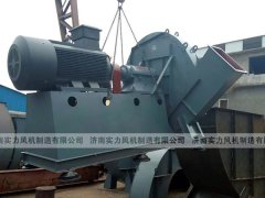 濟南国产麻豆精品成人毛片