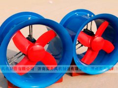 山東国产麻豆精品成人毛片