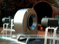 濟南国产麻豆精品成人毛片