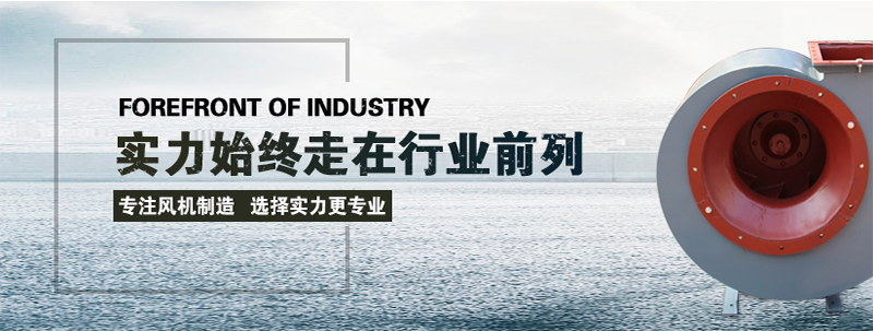 山東国产麻豆精品成人毛片